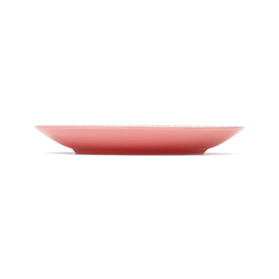 Iroiro Plates Small Multi Stripe