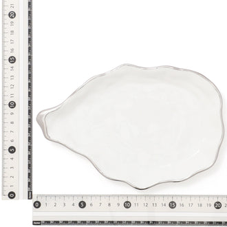 Shell Plate B Small