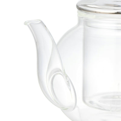 Clear Glass Teapot Silver