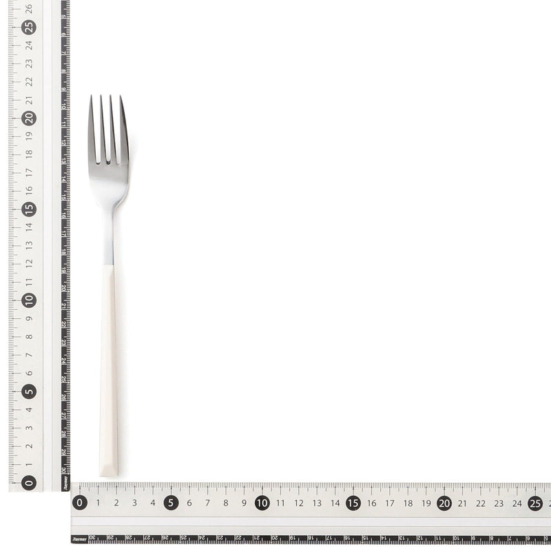 Color Handle Dinner Fork White