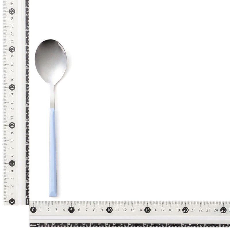 Color Handle Dinner Spoon Blue