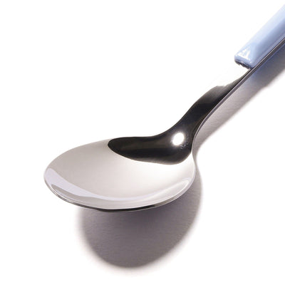 Color Handle Teaspoon Blue