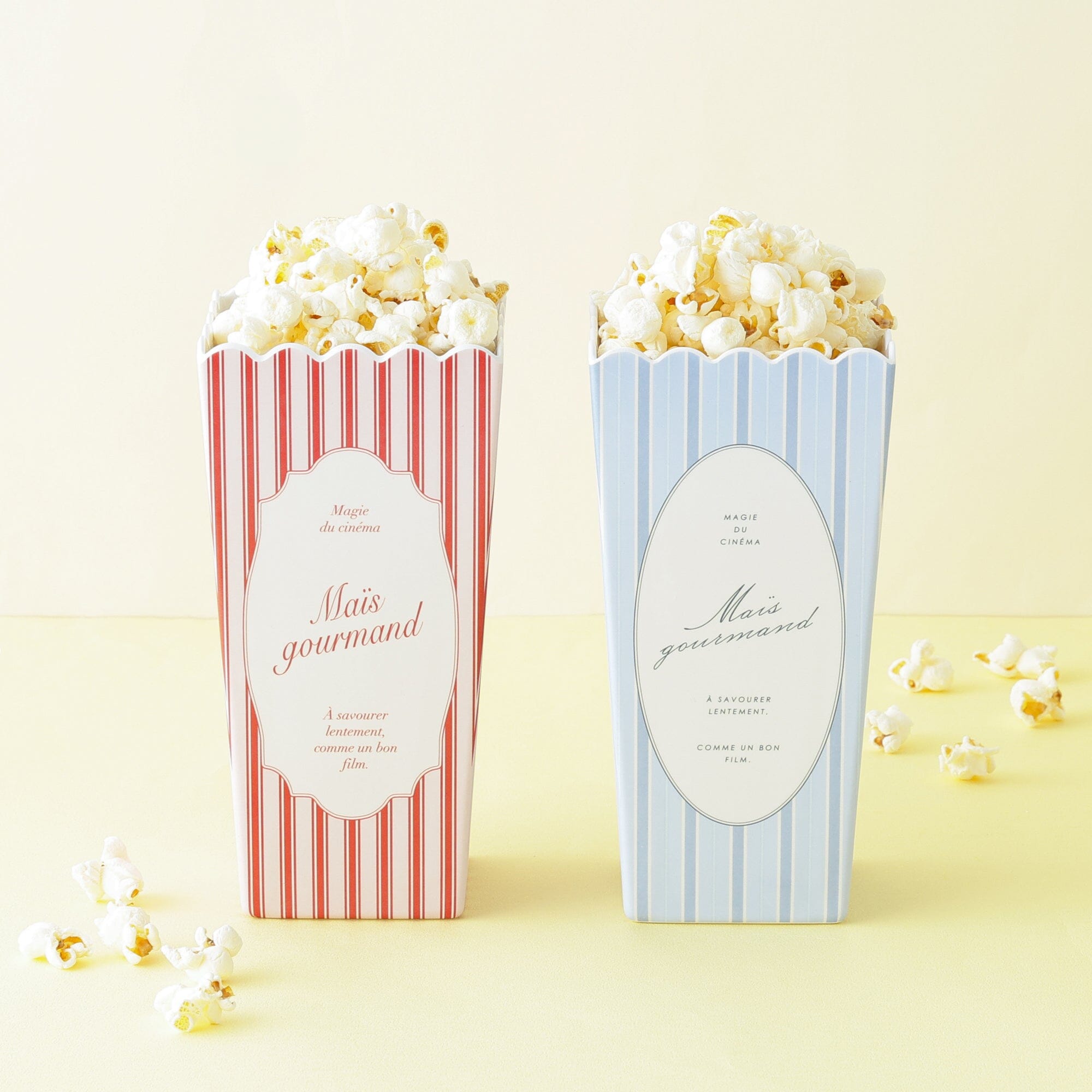 Popcorn Case Blue