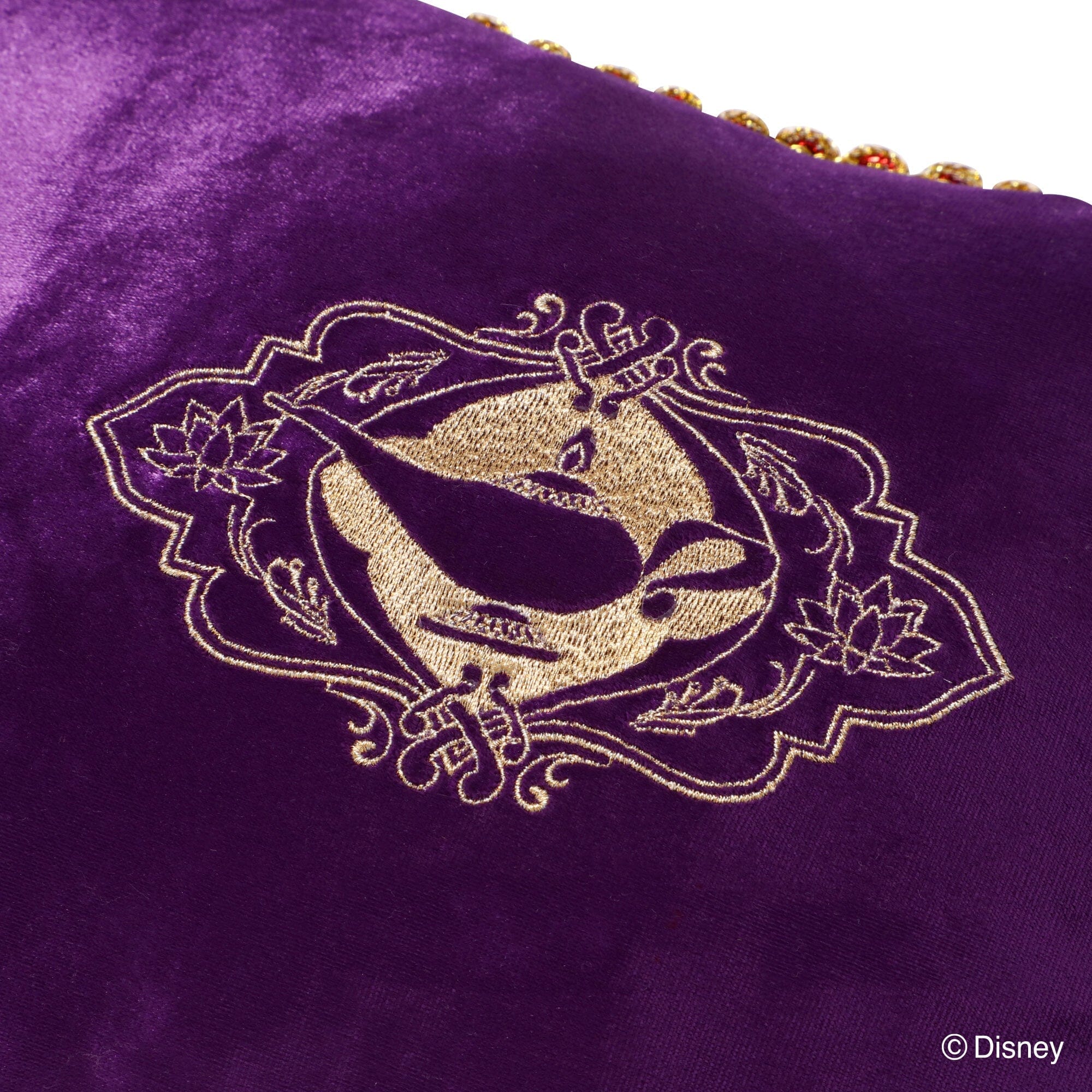 Disney Magic Of Chemistry  Aladdin  Cushion