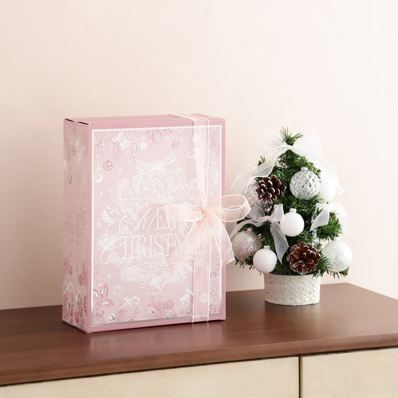 2025 Christmas Advent Calendar Medium (24 Pieces)