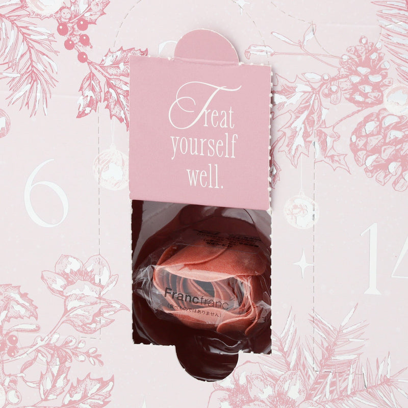 2025 Christmas Advent Calendar Medium (24 Pieces)