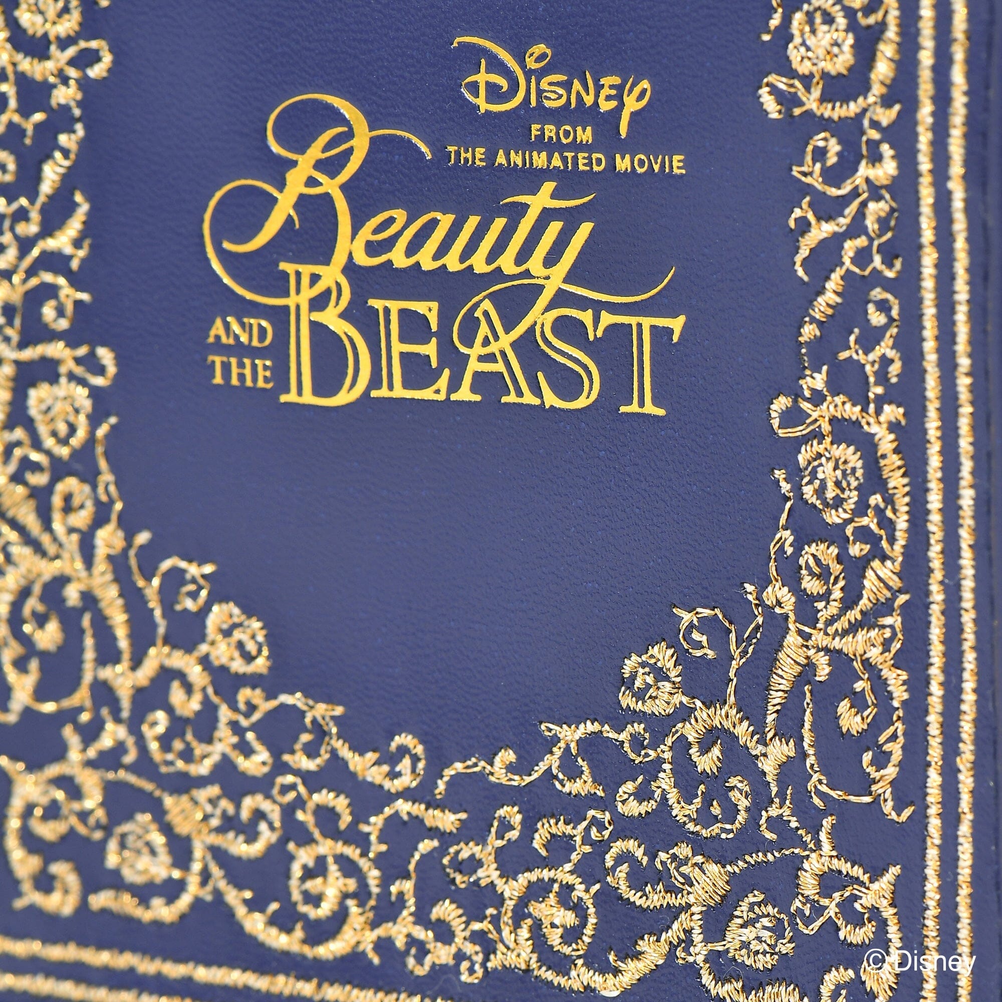 Disney Magic Of Chemistry  Beauty And The Beast  Mini Pouch