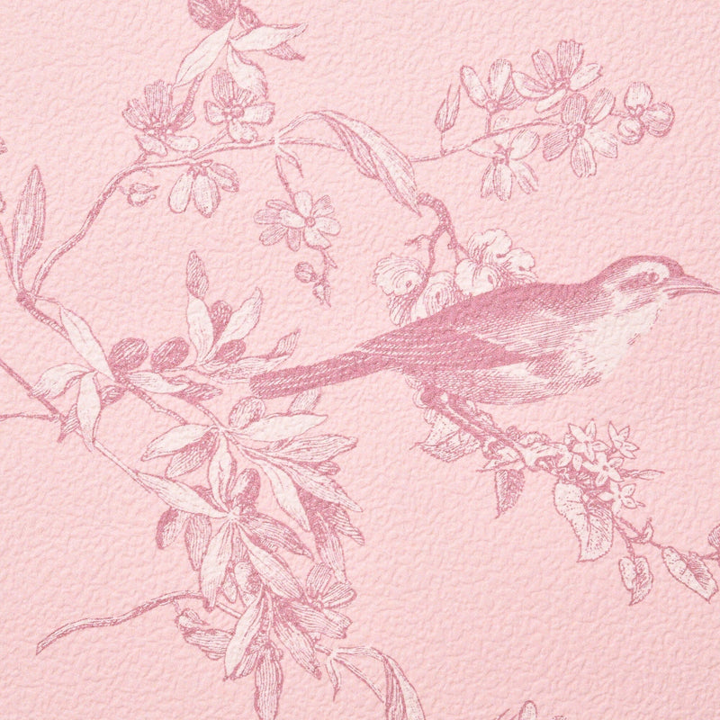 Removablewallpaper Boudoir  Pink
