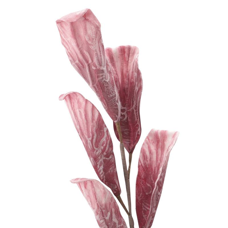 Artplants Leaf  Pink
