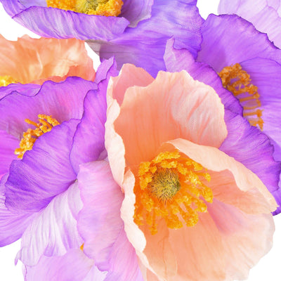 Petit Bouquet Poppy Mix  Purple