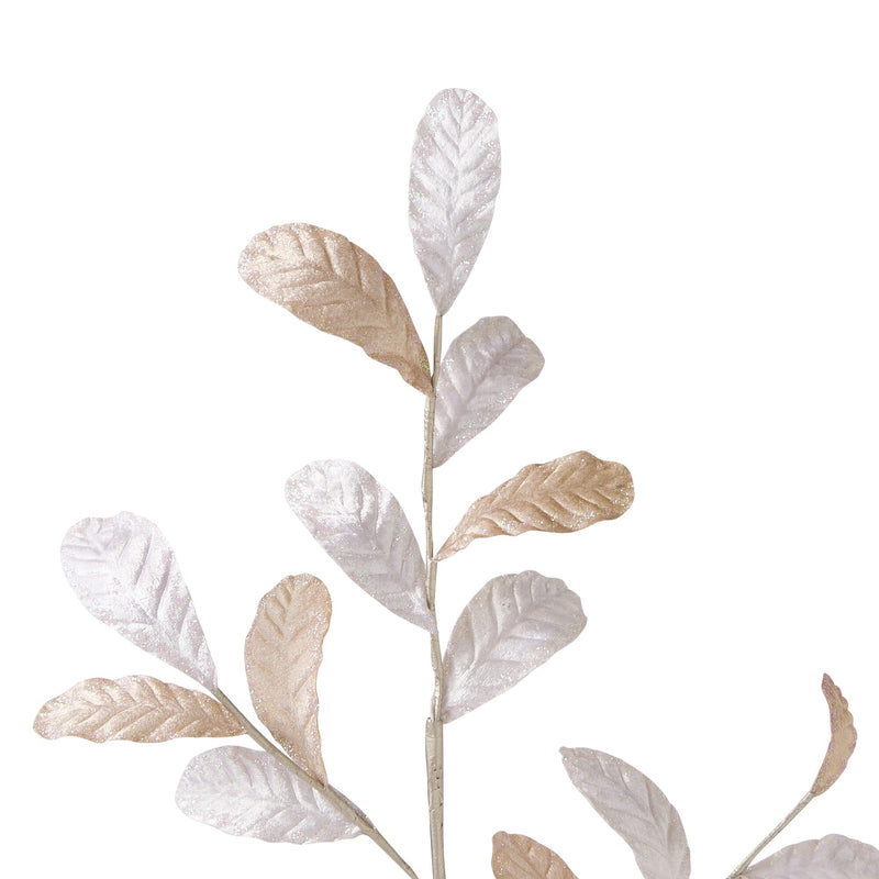 Art Plants Velvet Leaf Ivory