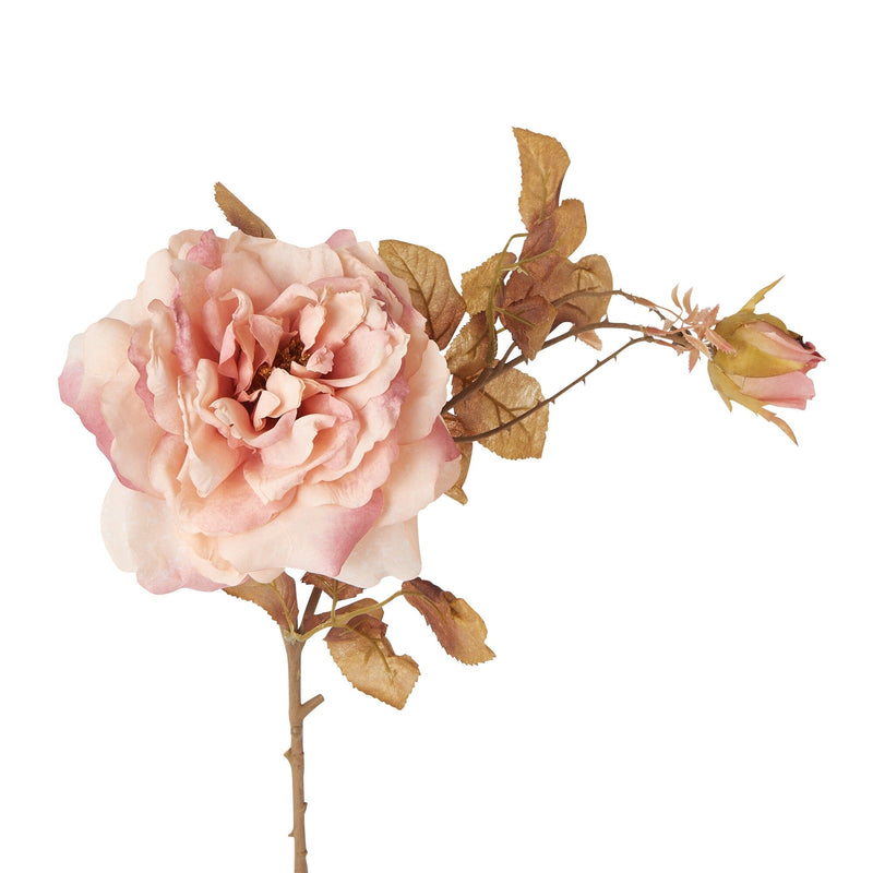 Art Flower Antique Rose Light Pink