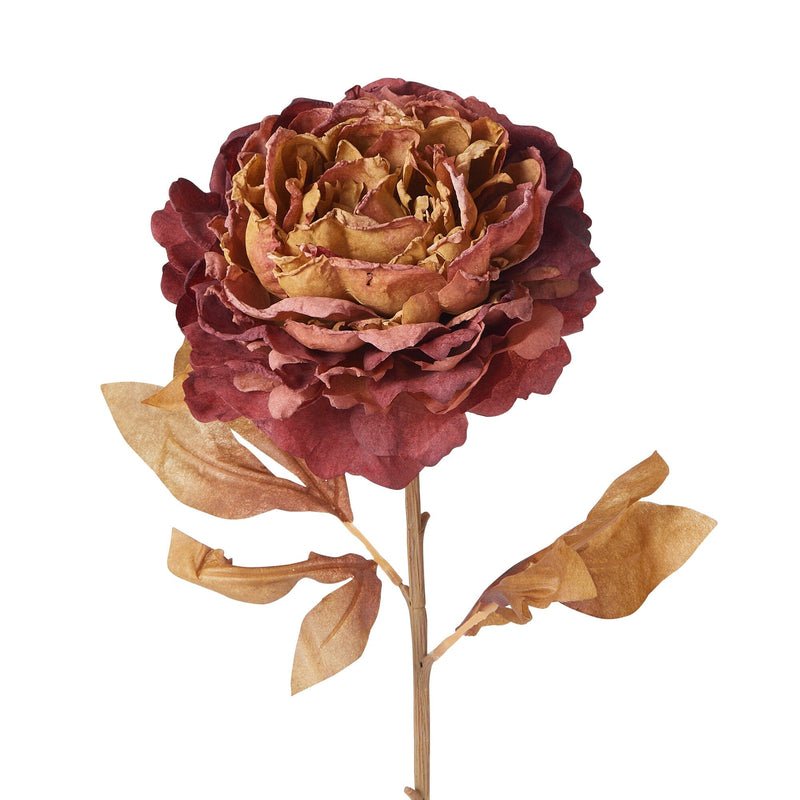 Art Flower Antique Peony Red