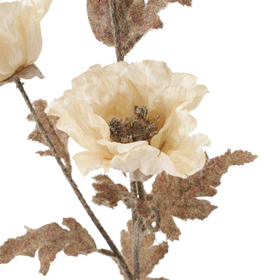 Art Flower Antique Poppy White