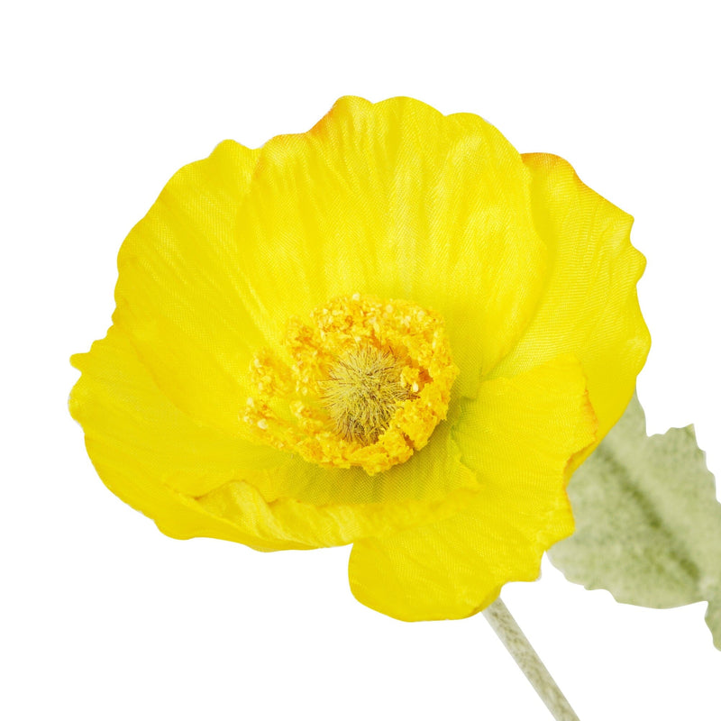 Art Flower Poppy Small Yellow