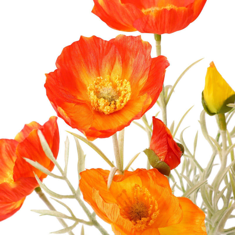 Mini Bouquet Poppy Red