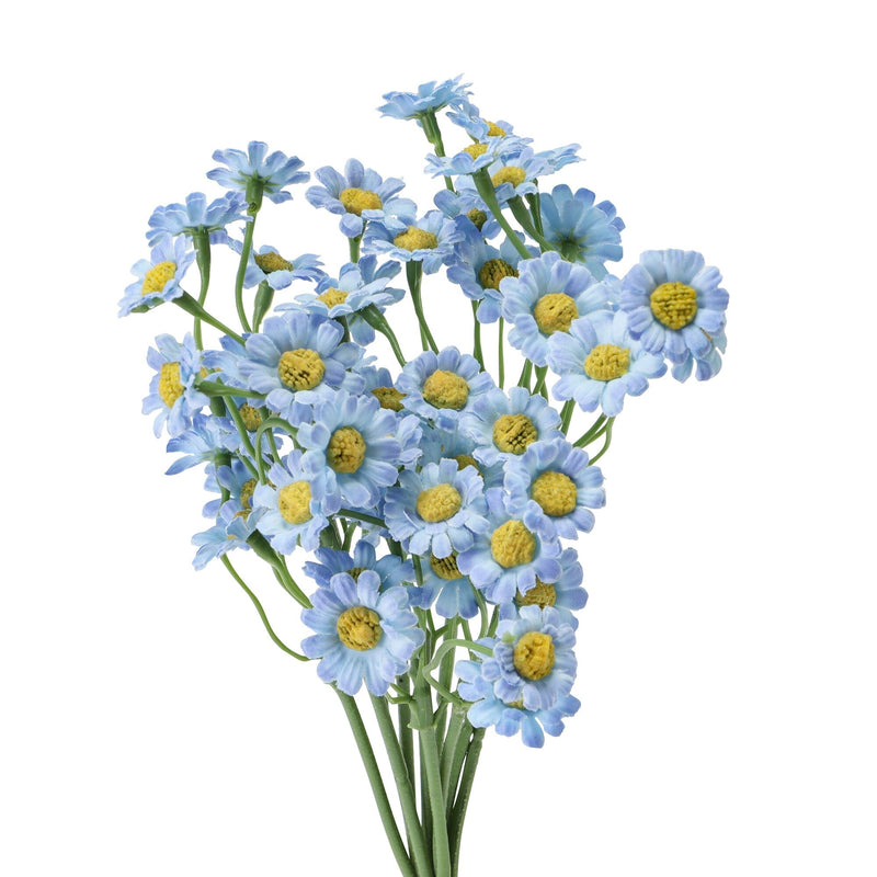 Art Flower Petit Daisy Bundle Light Blue