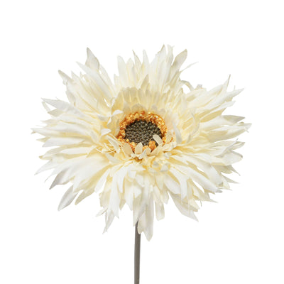 Art Flower Natural Gerbera White