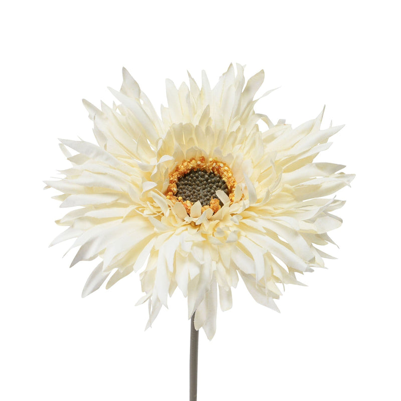 Art Flower Natural Gerbera White