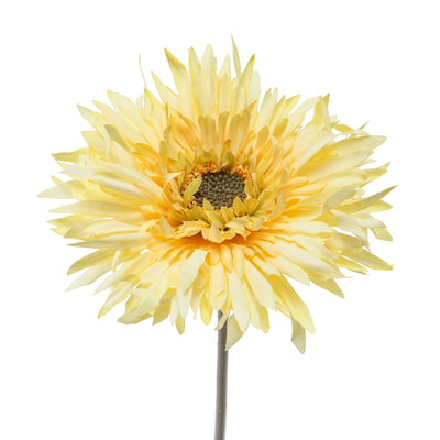 Art Flower Natural Gerbera Light Yellow