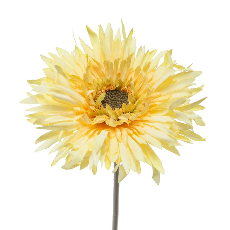 Art Flower Natural Gerbera Light Yellow
