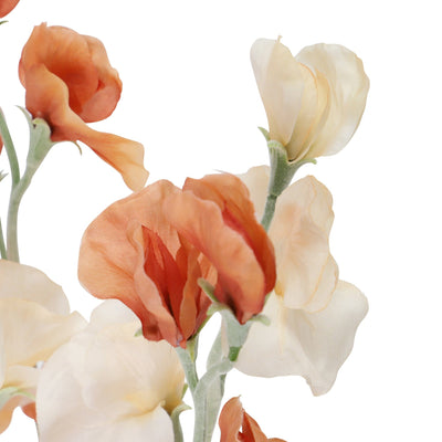 Mini Bouquet Sweet Pea Light Brown