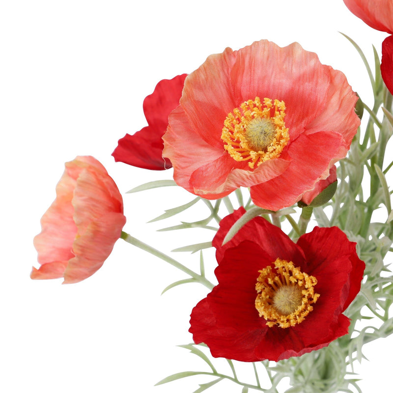 Mini Bouquet Poppy Red x Orange