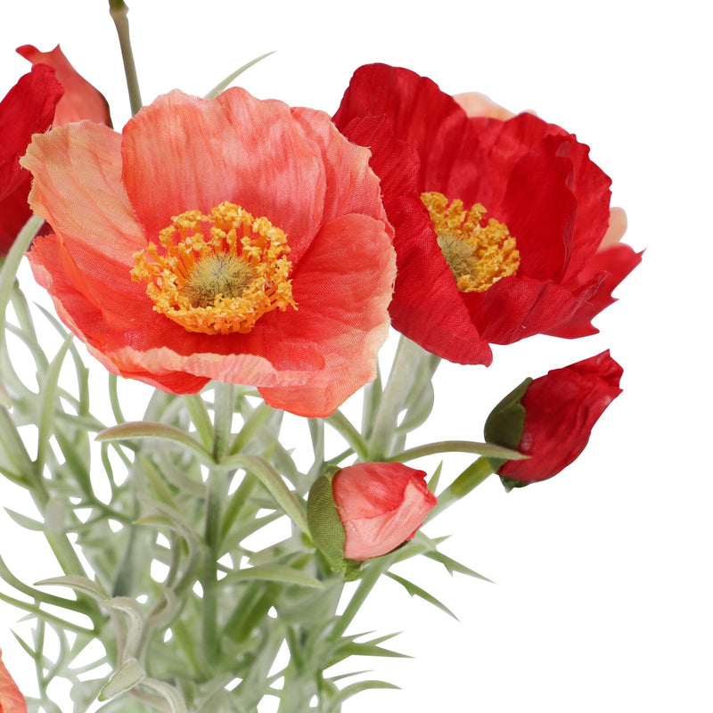 Mini Bouquet Poppy Red x Orange