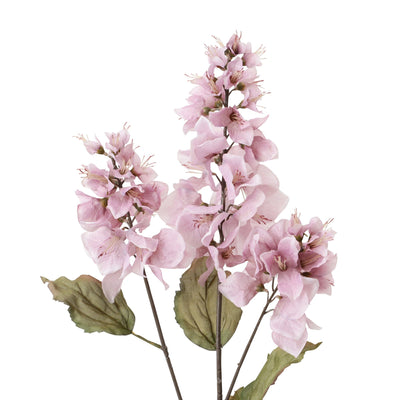 Art Flower Bougainvillea Light Purple