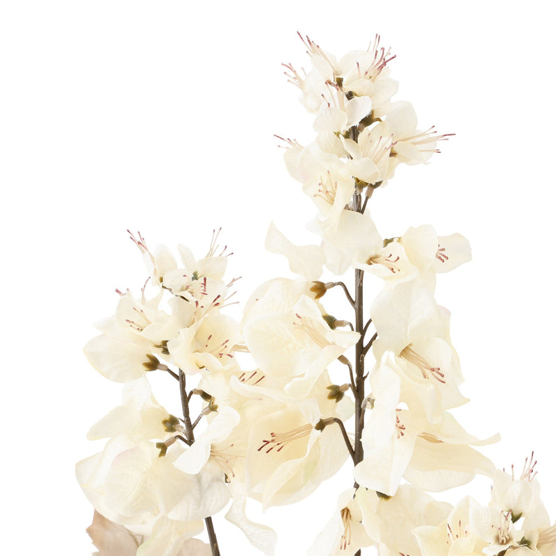 Art Flower Bougainvillea White