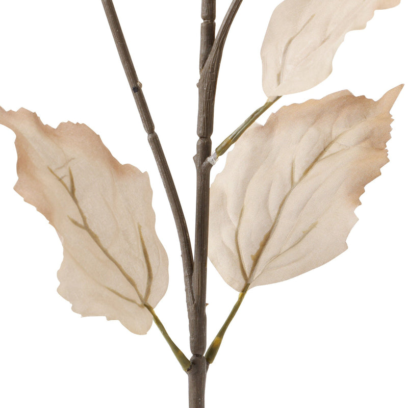 Art Flower Bougainvillea White