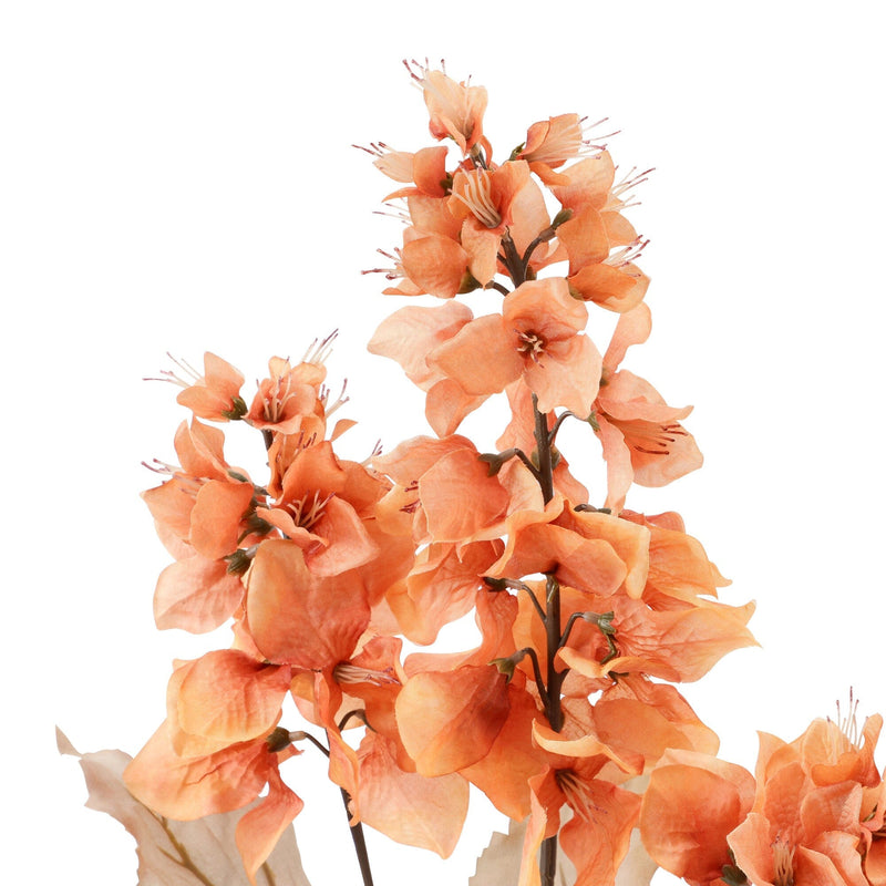 Art Flower Bougainvillea Orange