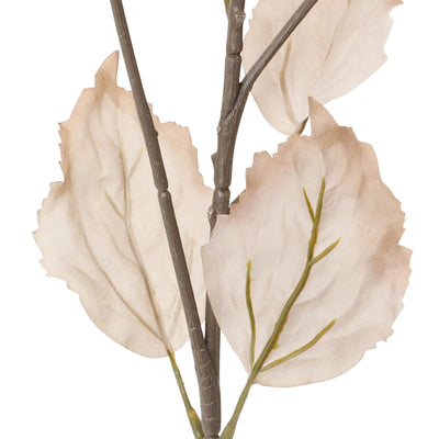 Art Flower Bougainvillea Orange