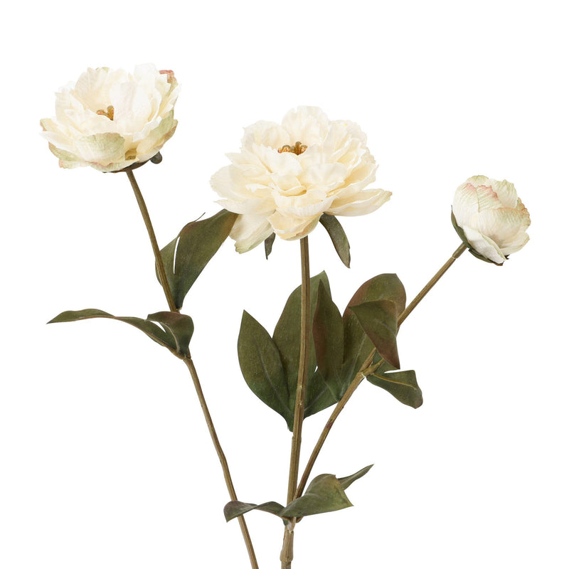 Art Flower Peony Small White