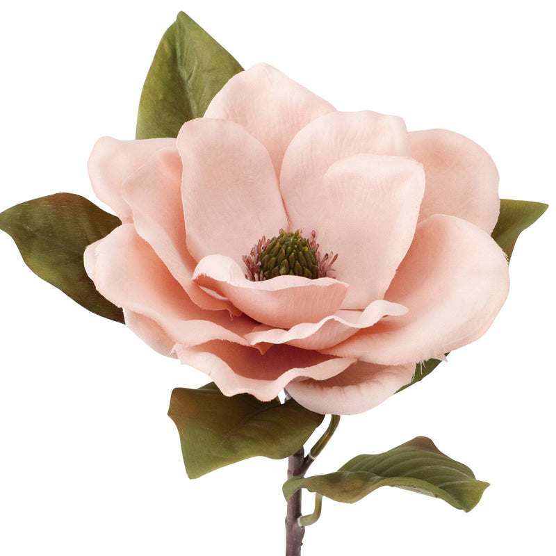 Art Flower Magnolia Light Pink