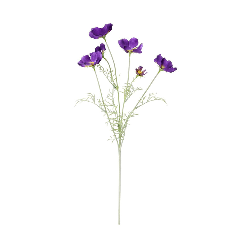 Art Flower Cosmos Purple
