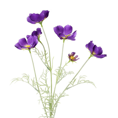Art Flower Cosmos Purple