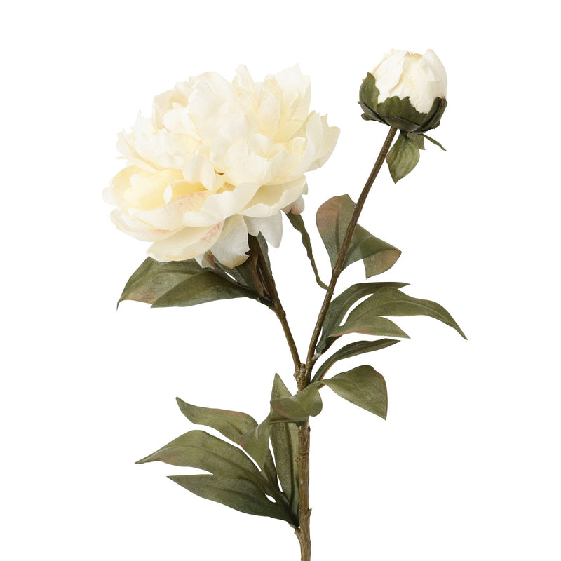 Art Flower Peony Medium White