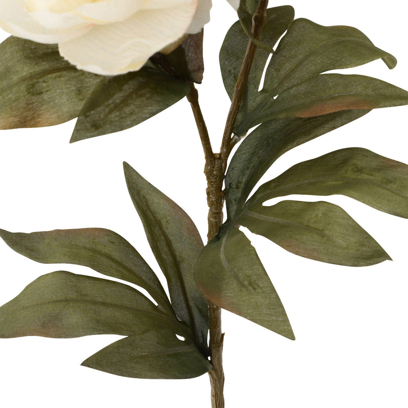 Art Flower Peony Medium White