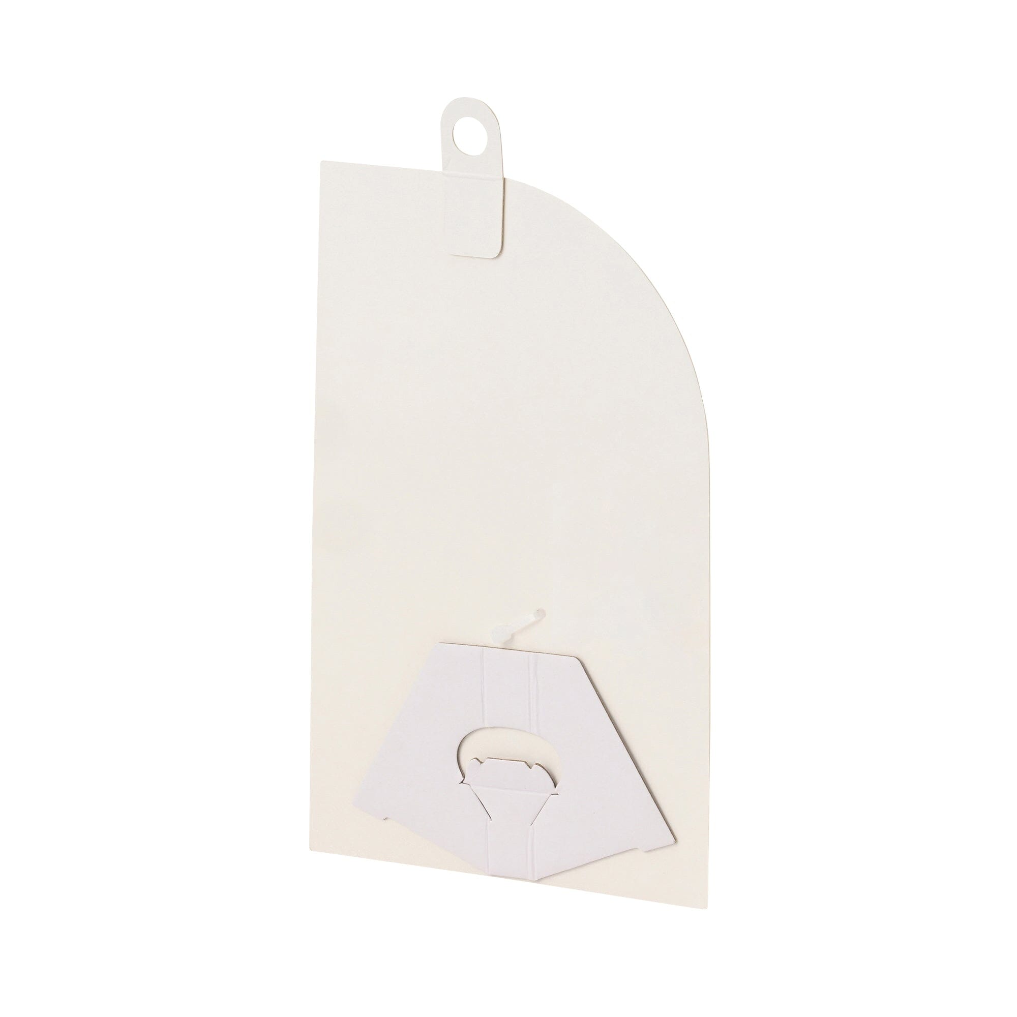 Petite Bouquet Ranunculus Poppy Mix Orange