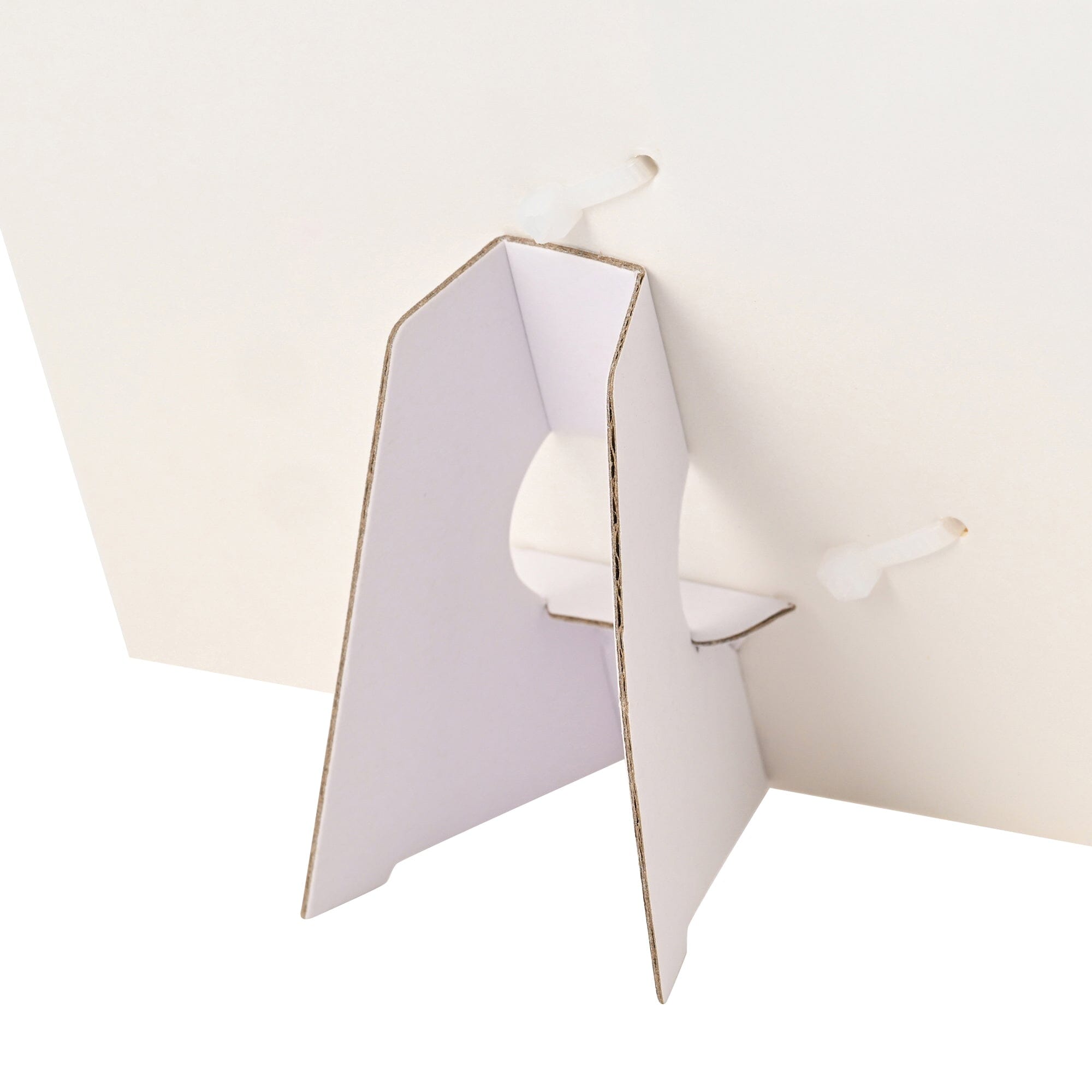 Petite Bouquet Ranunculus Poppy Mix Orange