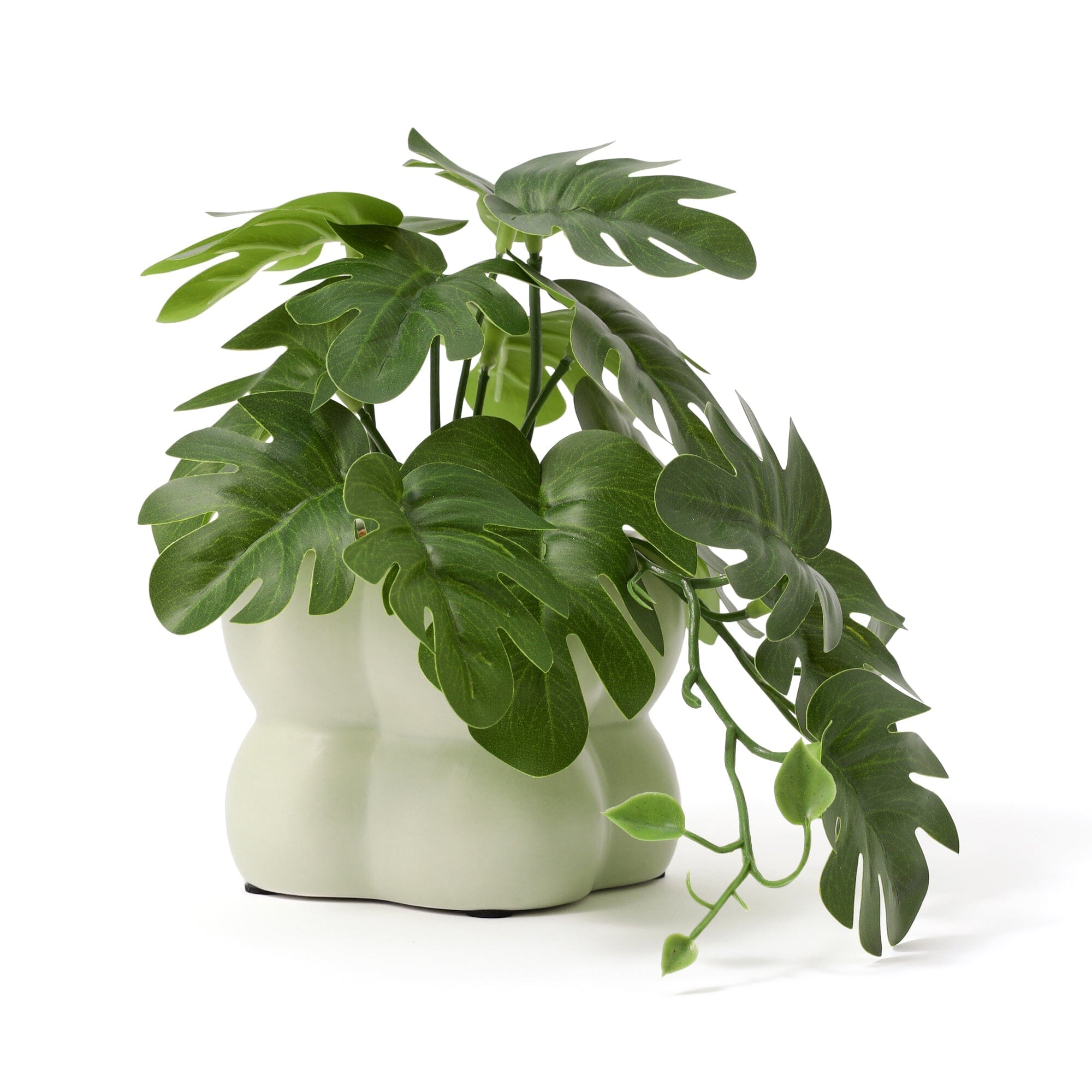 Art Green & Pot Monstera Light Green