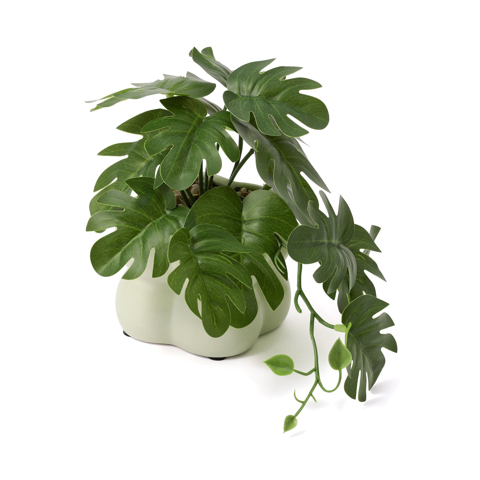 Art Green & Pot Monstera Light Green
