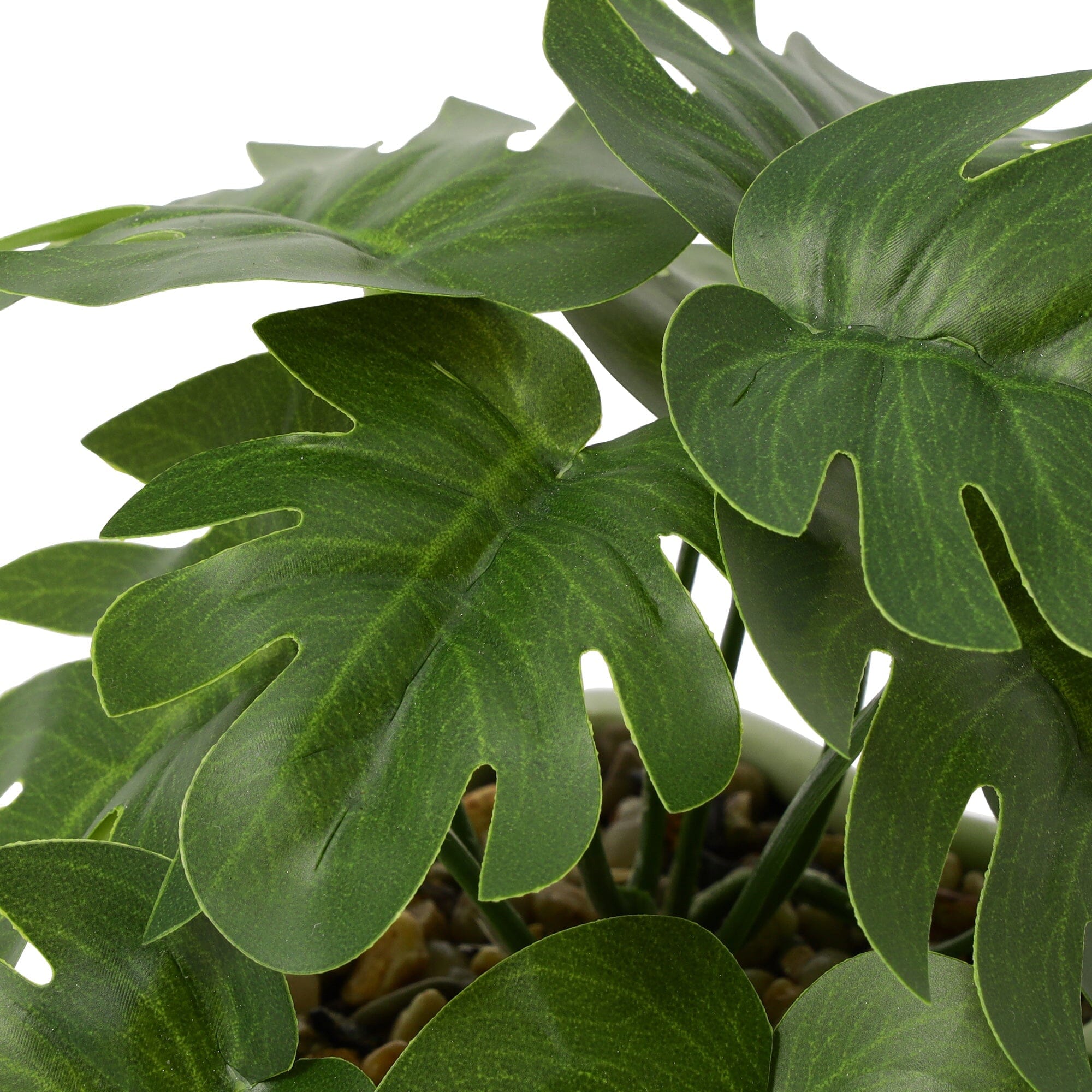 Art Green & Pot Monstera Light Green