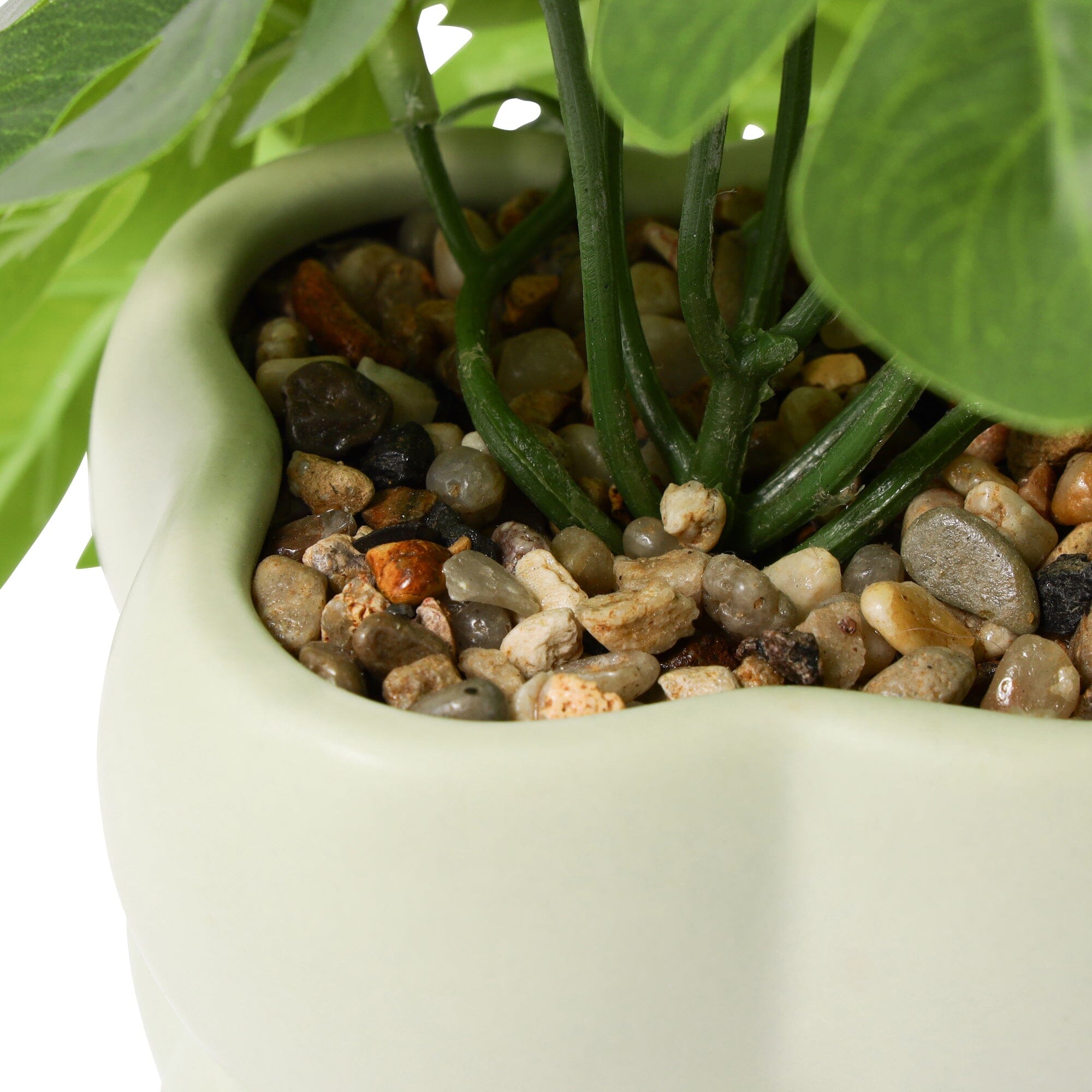 Art Green & Pot Monstera Light Green