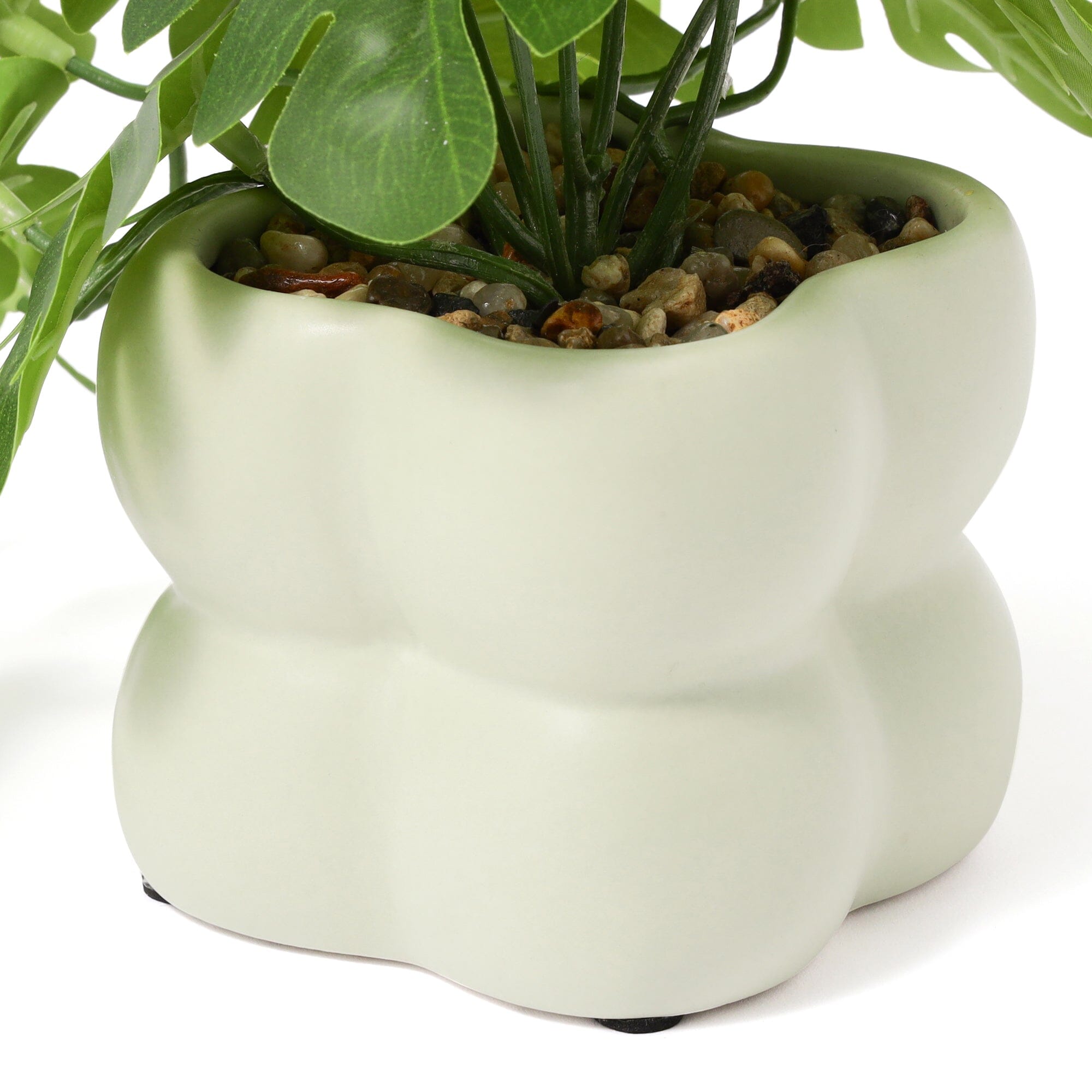 Art Green & Pot Monstera Light Green