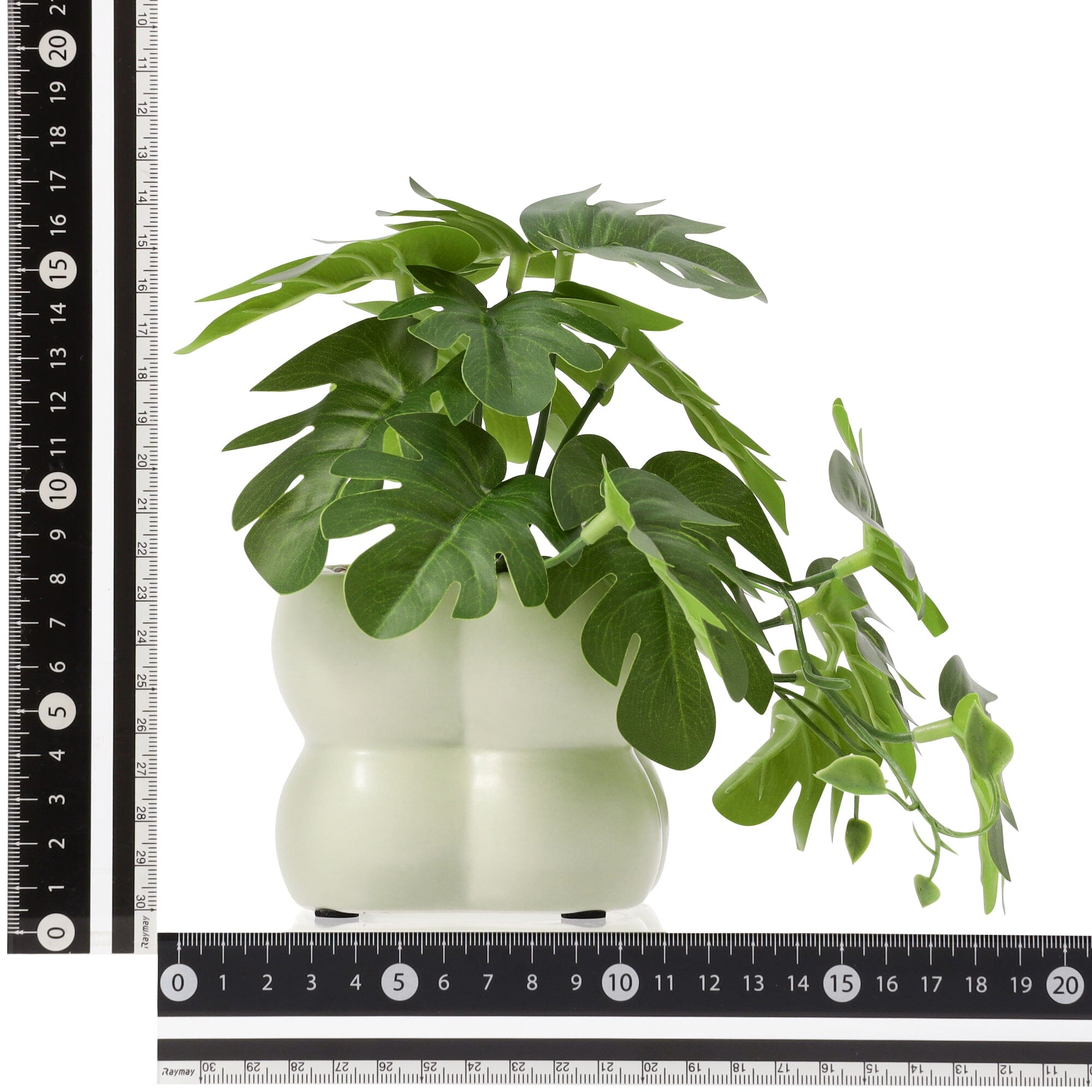 Art Green & Pot Monstera Light Green