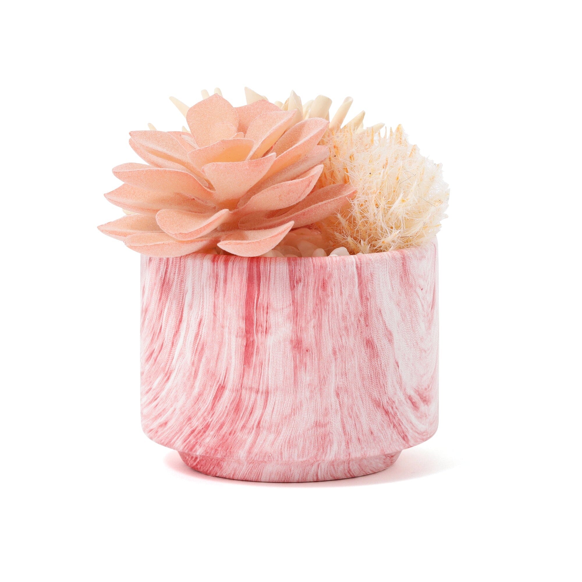 Art Green & Pot Succulent Light Pink