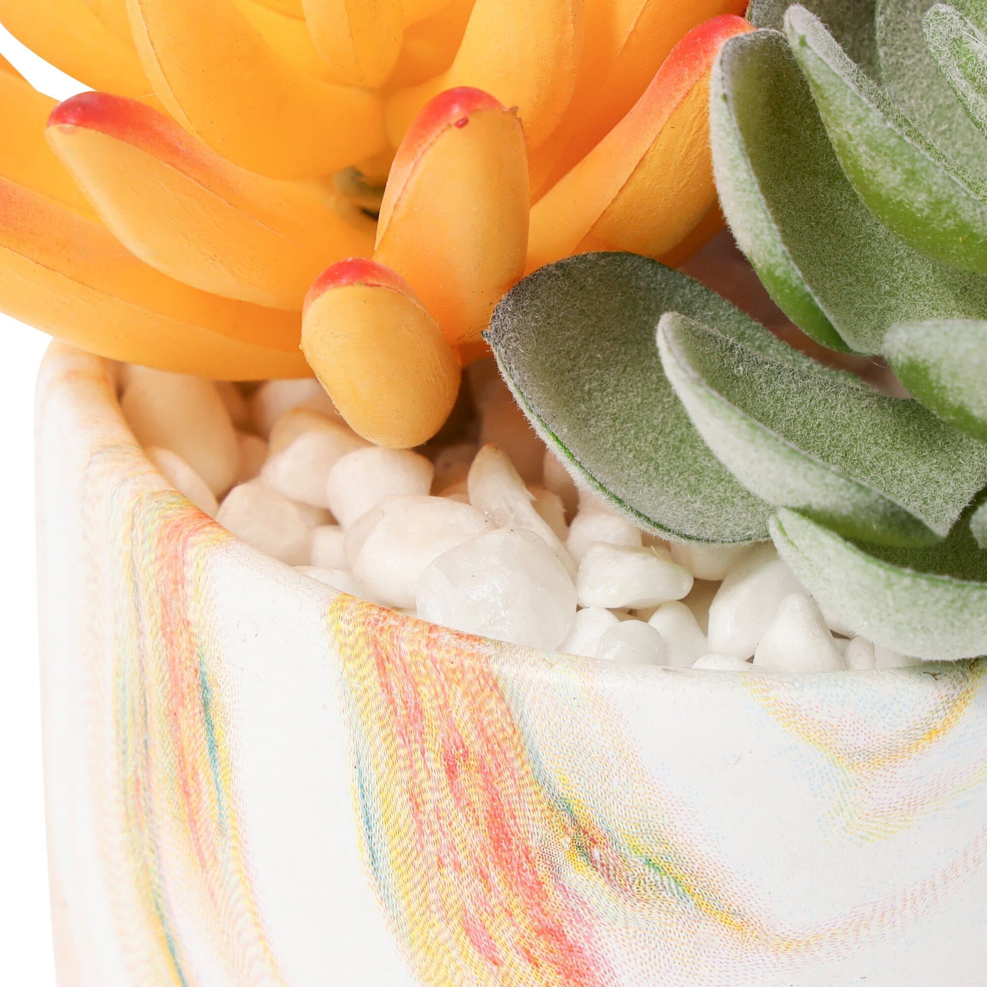 Art Green & Pot Succulent  Orange