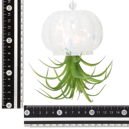 Art Green Jellyfish White